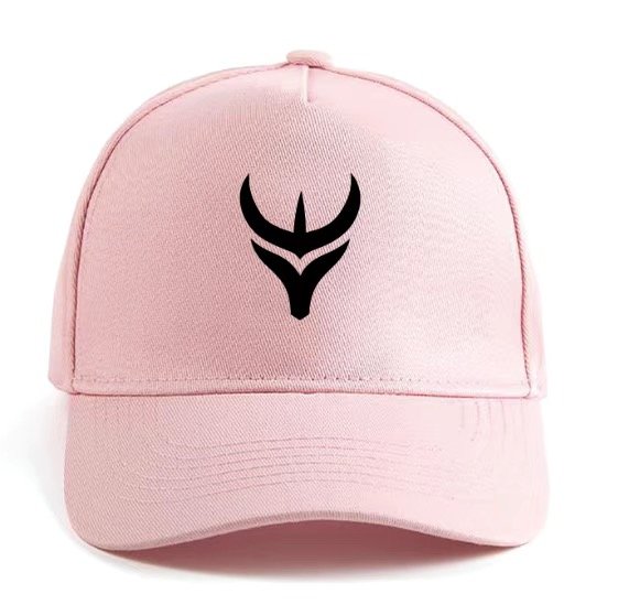 Embroidered Logo Caps