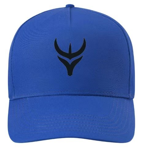 Embroidered Logo Caps - Image 3