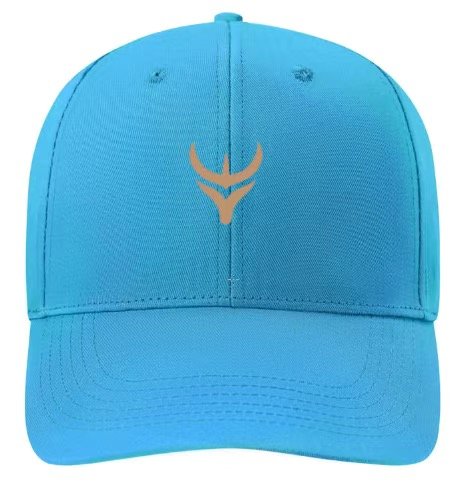 Embroidered Logo Caps - Image 2